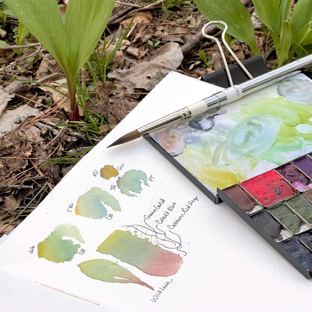 An open sketchbook with swatches and a sketch of a ramp, or wild leek. An open palette and travel brush lay on top. The art supplies are on the ground which is covered in dried leaves and a few ramps growing in the background.