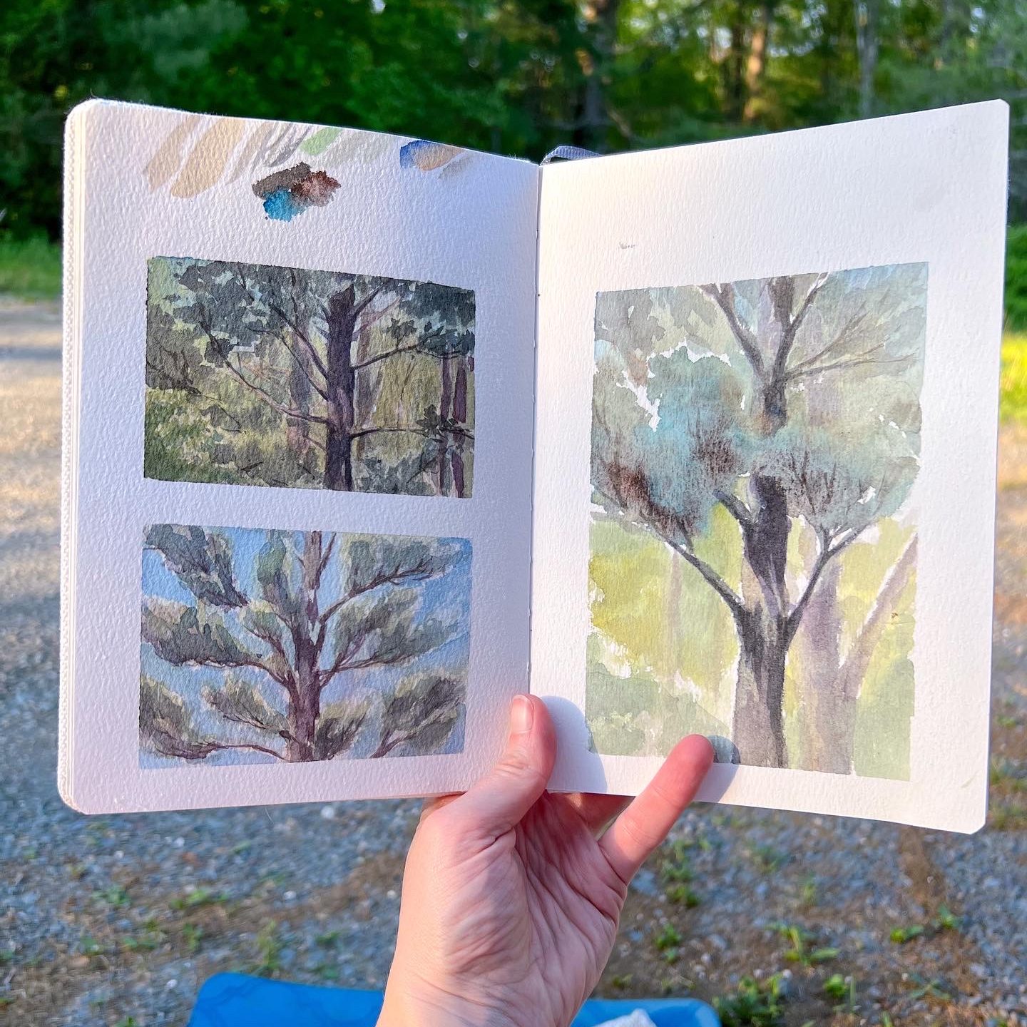Jill holding out an open sketchbook with 3 pine tree painted thumbnail sketches.