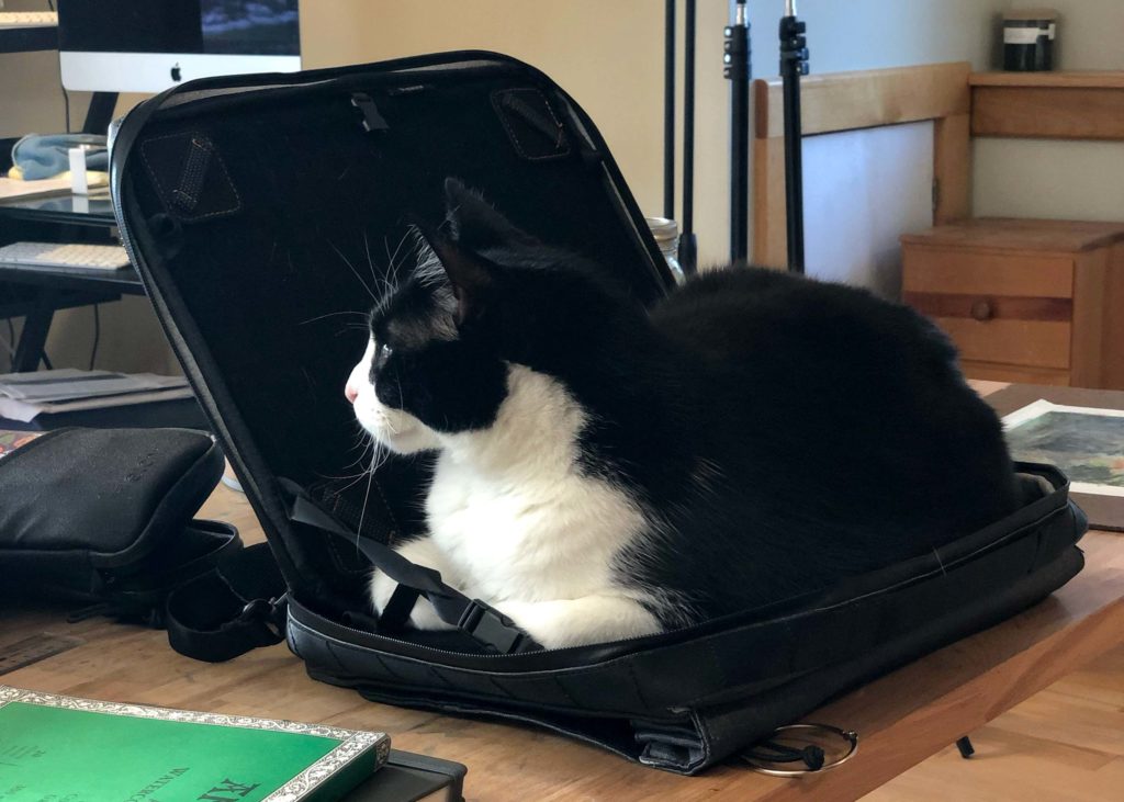 A black and white cat sitting on the open satchel looking cute.