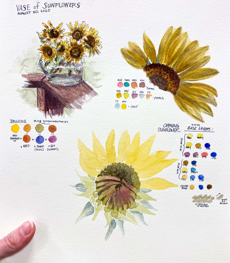 Swatches to note what colors were used in this watercolor sketch of a sunflower.